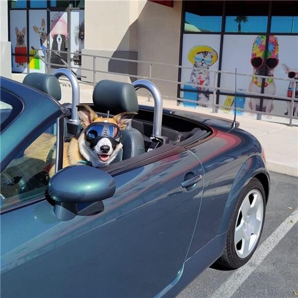 Dog Goggles Large Breed, Dog Sunglasses Large Breed UV Protection Sunglasses - Picture 5 of 7